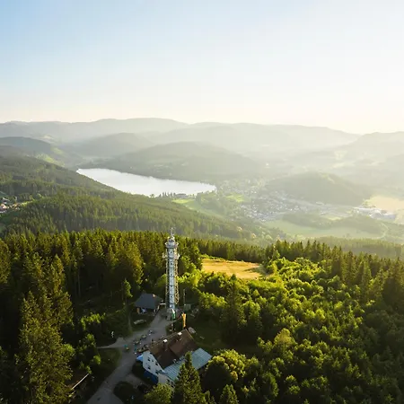 Ferienwohnung Passhoehe * Feldberg (Baden-Wurttemberg)