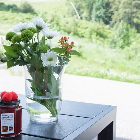 Appartement Ferienwohnung Passhoehe Feldberg (Baden-Wurttemberg)
